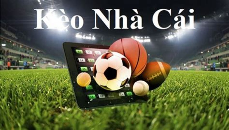 Vì sao cần soi 3King kèo nhà cái ngay hôm nay